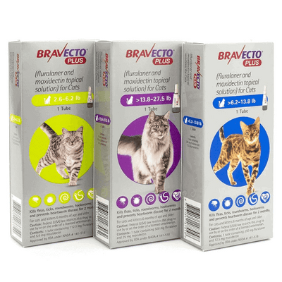 Bravecto Plus for Cats