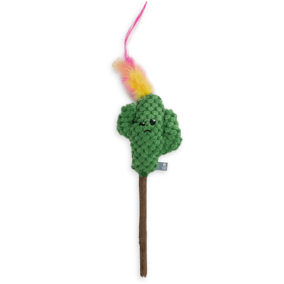 Cat's Life Indie Cactus