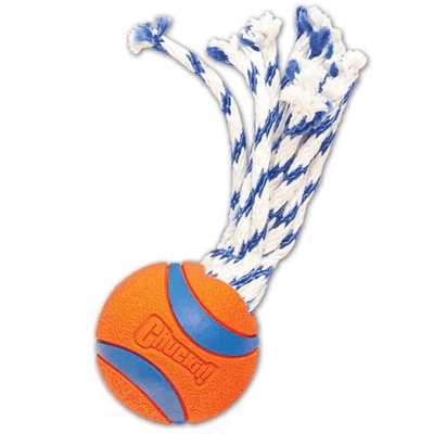 Chuckit! Ultra Toss Toy