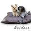 Noble Companion & Co The Canine Cloud Outdoor