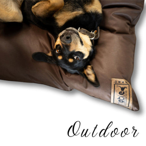 Noble Companion & Co The Canine Cloud Outdoor