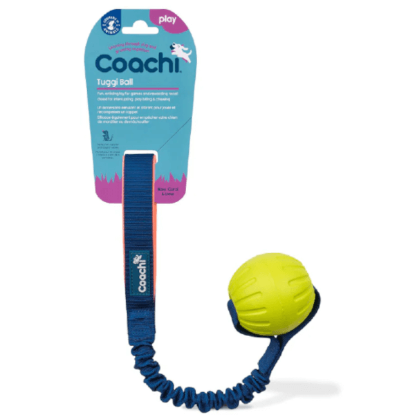 Company Of Animals Coachi Tuggi Ball