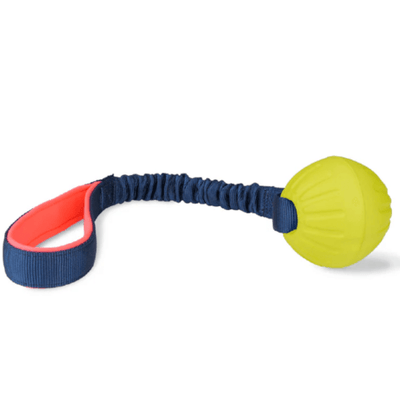 Company Of Animals Coachi Tuggi Ball