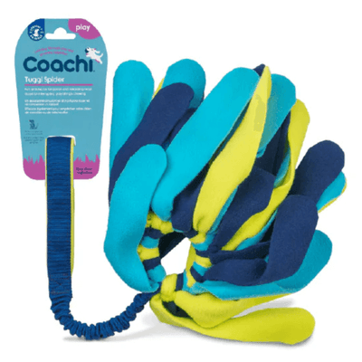 Company Of Animals Coachi Tuggi Spider