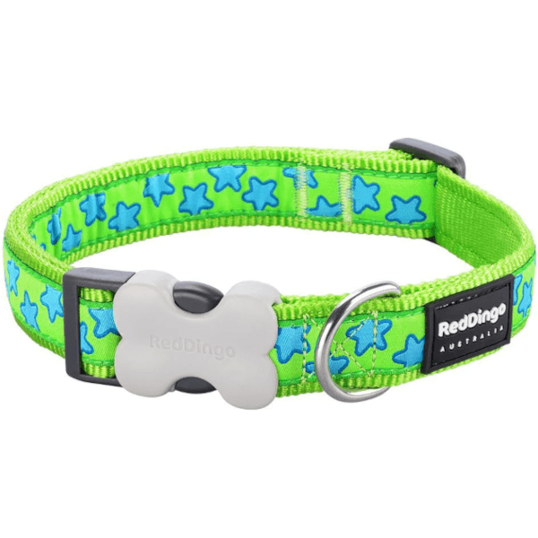 Red Dingo Pet Adventure - Design Dog Collars