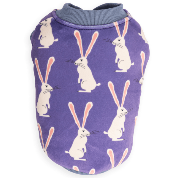 Dog Days Long Ear Rabbit Sweatshirts