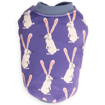 Dog Days Long Ear Rabbit Sweatshirts