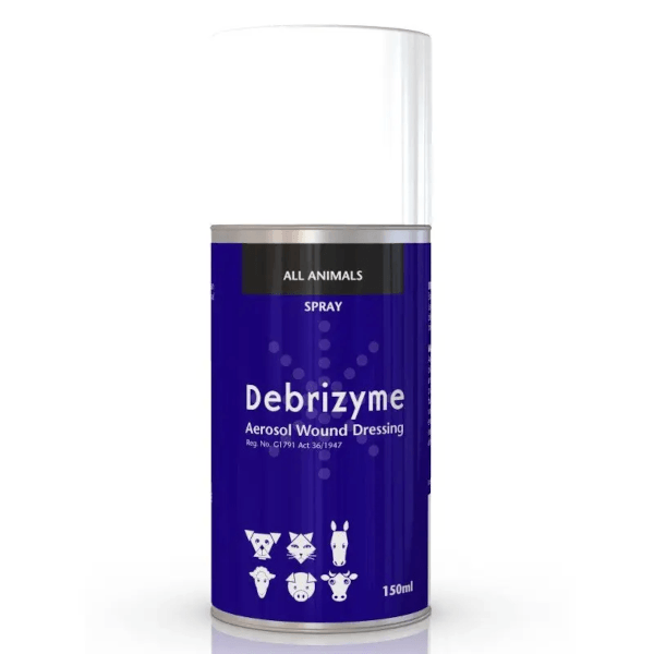 Kyron Debrizyme Aerosol Wound Dressing