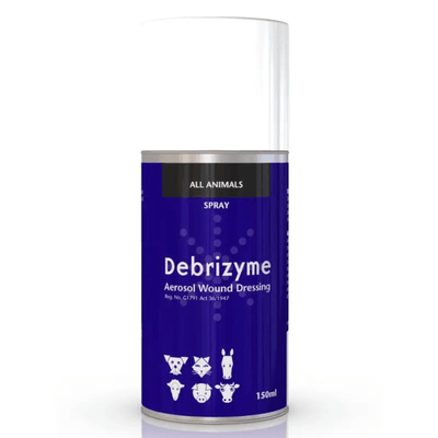 Kyron Debrizyme Aerosol Wound Dressing