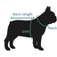 Dog's Life Wool Winter Coat with Sherpa Fleece