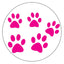 Instant Tags - Dog, Cat and Human ID Tags