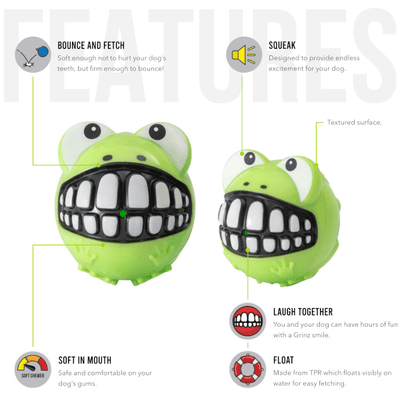 Rogz Grinz Fetch Frog Toy