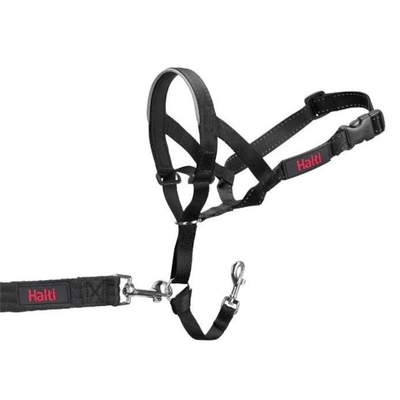 Company Of Animals Halti Headcollar