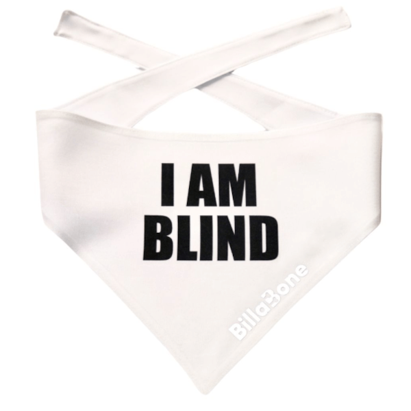 Billabone I Am Blind Bandana