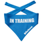 Billabone In Training Bandana