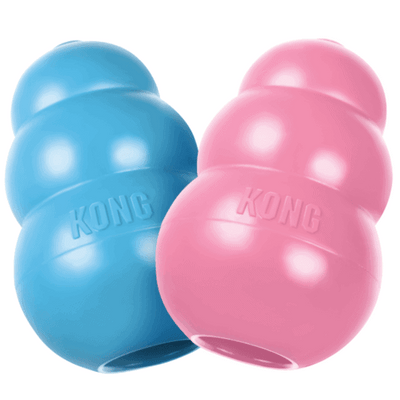 Kong Puppy Toy