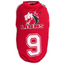 Dog's Life Official Licensed Lions Jersey