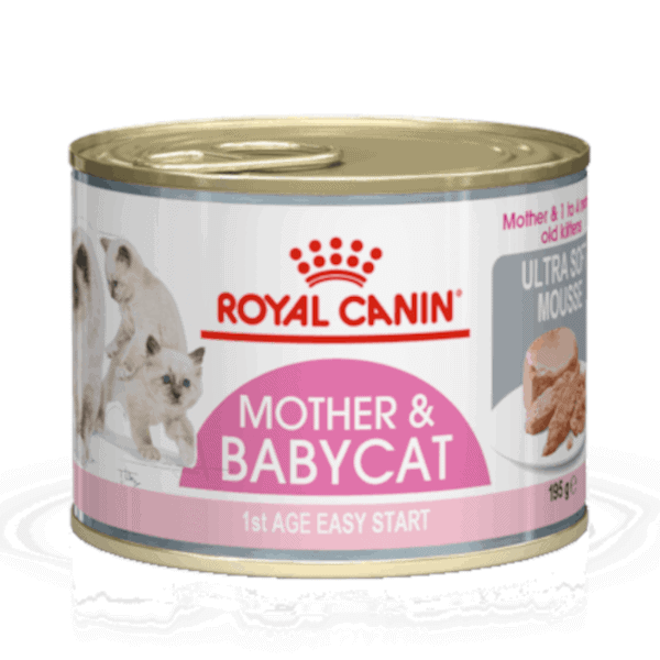 Royal Canin Mother & Babycat Mousse 12 x 195g