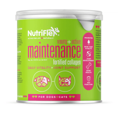 Nutriflex Young & Active Maintenance Fortified Collagen 250g