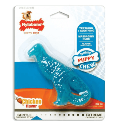 Nylabone Puppy Teething Dental Dinosaur