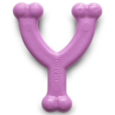 Nylabone Puppy Wishbone