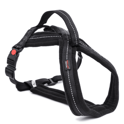 Dog's Life Outdoors & Adventure Harness With Handle