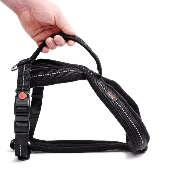 Dog's Life Outdoors & Adventure Harness With Handle