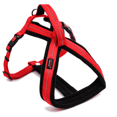 Dog's Life Outdoors & Adventure Harness With Handle