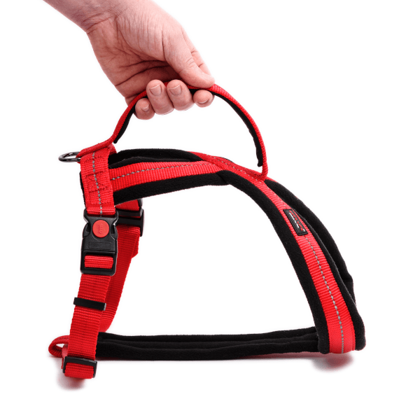 Dog's Life Outdoors & Adventure Harness With Handle