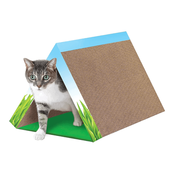 Petstage Fold Away Tunnel Cat Toy