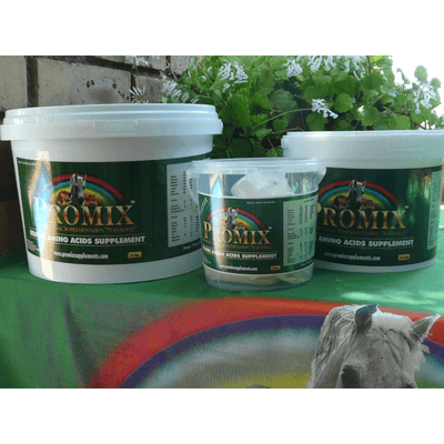 Promix Equine Multi-Vitamin & Mineral Supplement