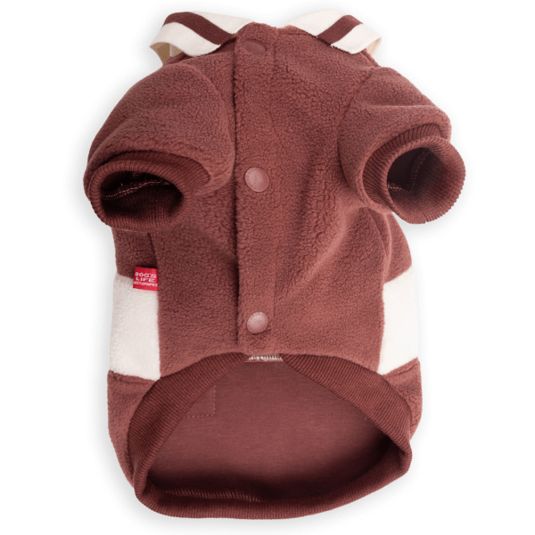 Dog's Life Pup-Arazzi Academy Sweatshirt