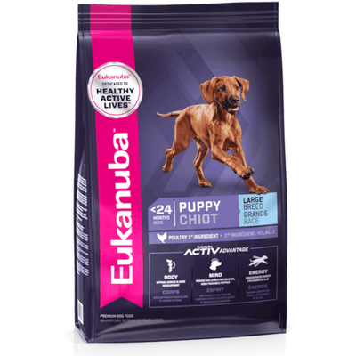 Eukanuba ActivAdvantage Large Breed Puppy Chicken