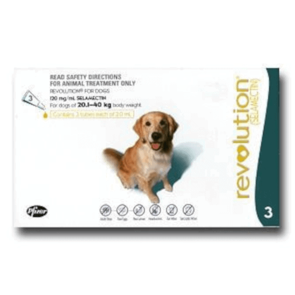 Revolution for Dogs