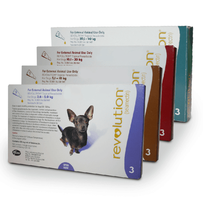 Revolution for Dogs