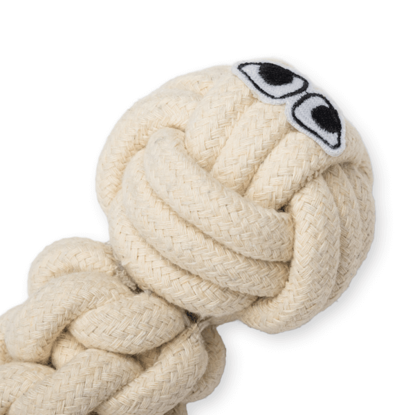 Dog Days Rope Snake Toy