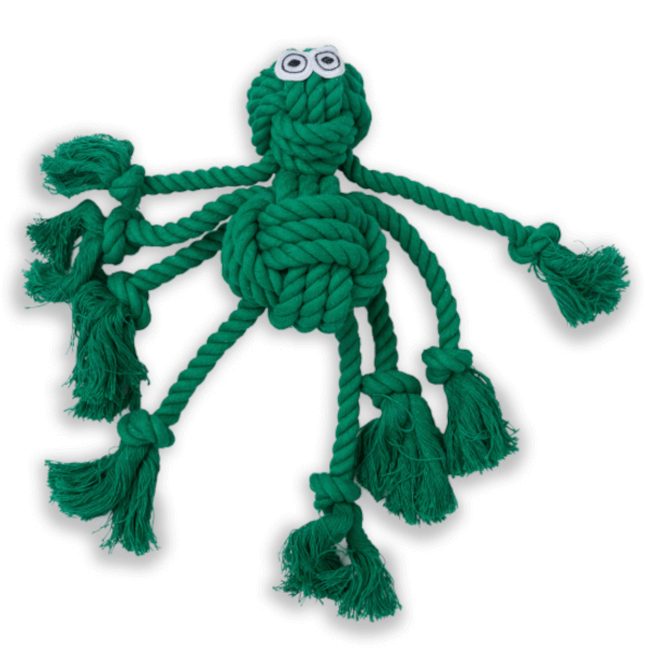 Dog Days Rope Spider