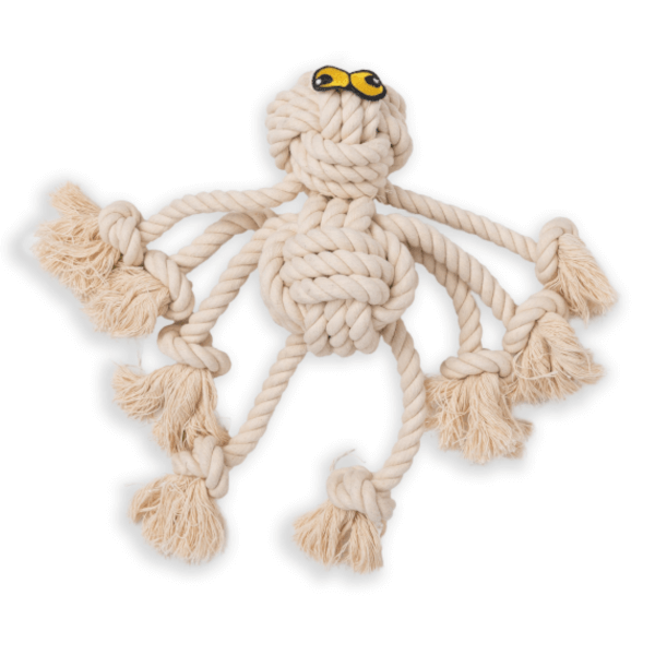 Dog Days Rope Spider