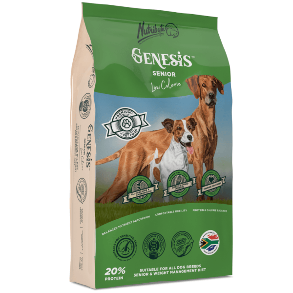 Nutribyte Senior Dog