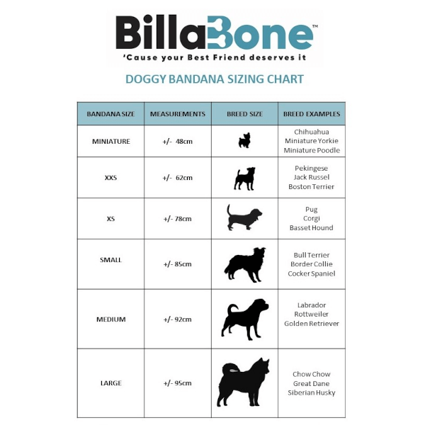 Billabone I Am Blind Bandana