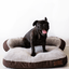 Dog's Life Slumber Sofa