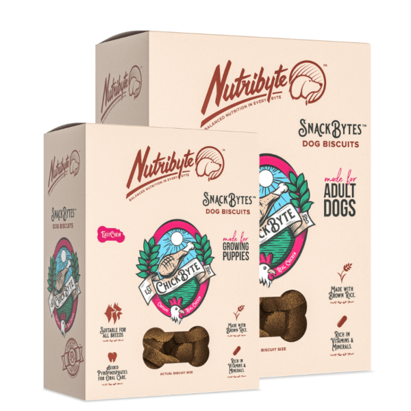 NutriByte SnackBytes