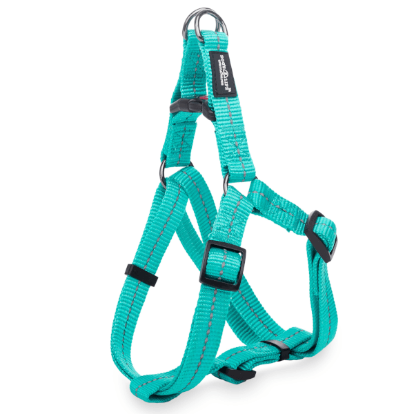 Dog's Life Reflective Supersoft Webbing Step In Harness
