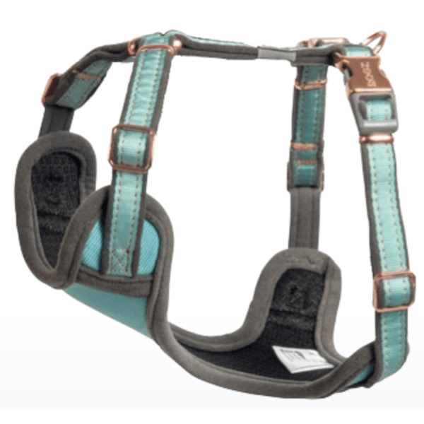 Rogz Urban Comfy Harness