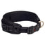 Rogz Classic Collar - Padded