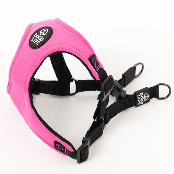 Dog's Life X Dog Neoprene Soft Harness