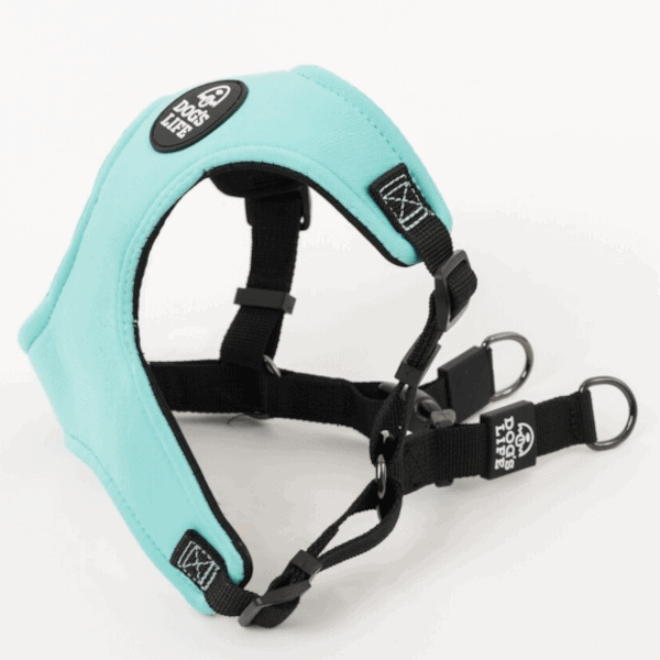 Dog's Life X Dog Neoprene Soft Harness