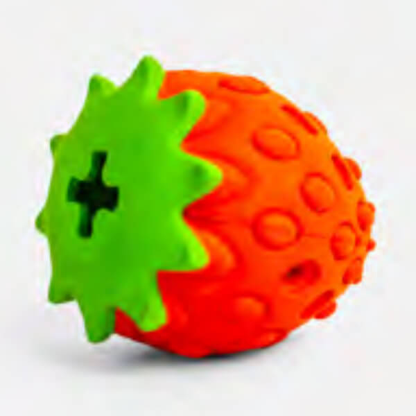 Zugo Zuberry Rubber Dog Toy